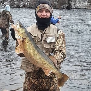 Meet your Posher, Lucas